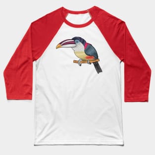 Curl crested aracari bird cartoon illustration Baseball T-Shirt